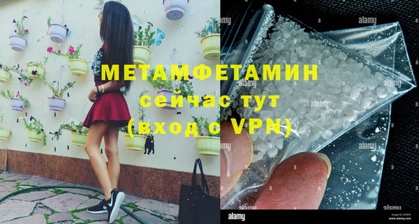 гидра Горняк