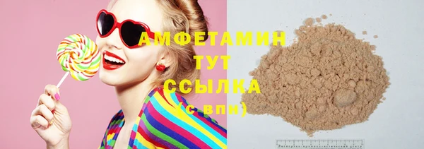 гидра Горняк