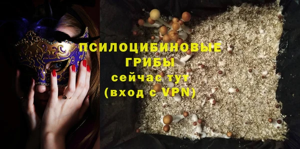 гидра Горняк