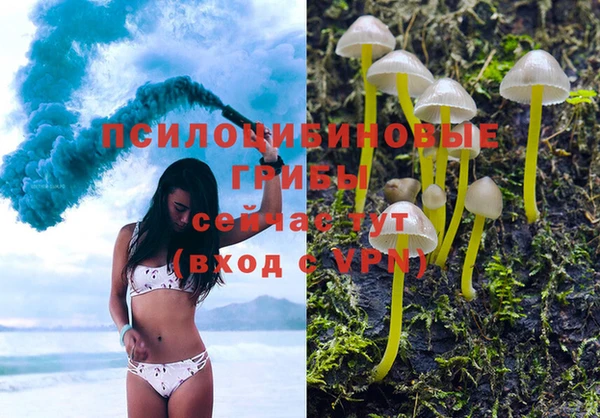 тгк Горно-Алтайск