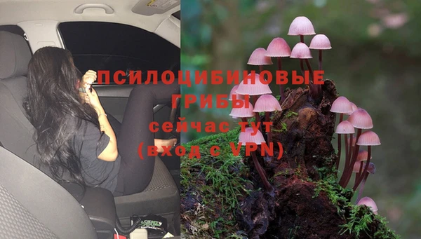 гидра Горняк