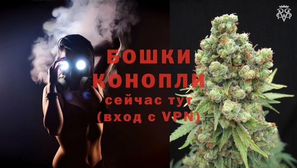 тгк Горно-Алтайск