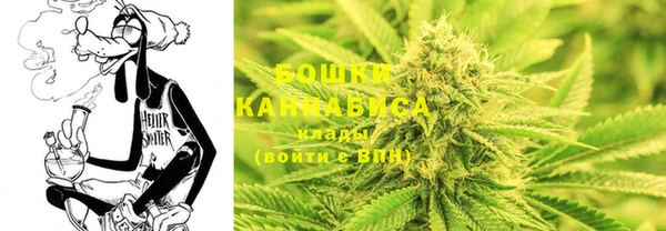 гидра Горняк