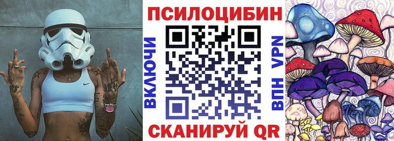 Купить  Кохма  Псилоцибиновые грибы Psilocybe 